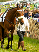 Old Berks at Lockinge Confined Hunts Race