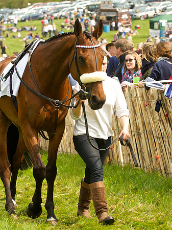Old Berks at Lockinge Confined Hunts Race