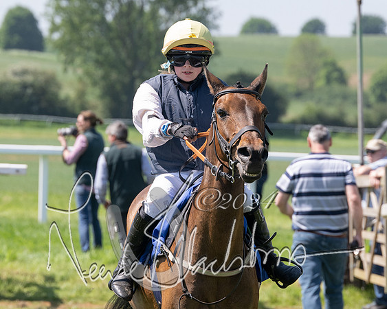 Pony Races  (104 of 141)