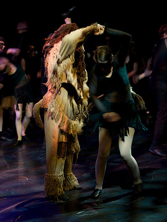 The Wizard of OZ -  313