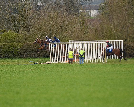 Race 2 - Veteran Horse (89 of 153)