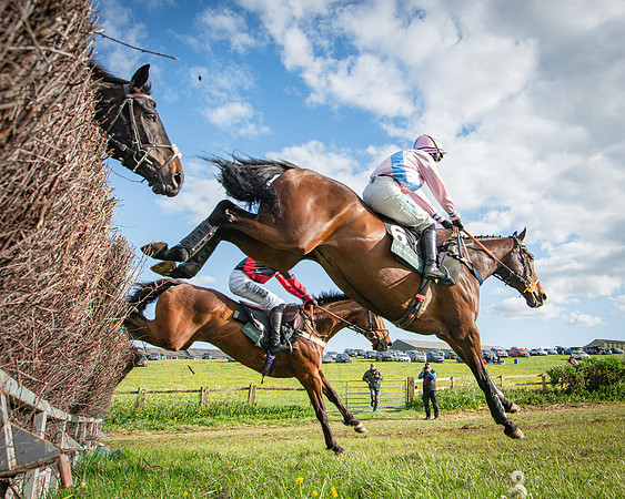 Race 7 - Walnut Hill PPORA club members maiden (14 of 104)