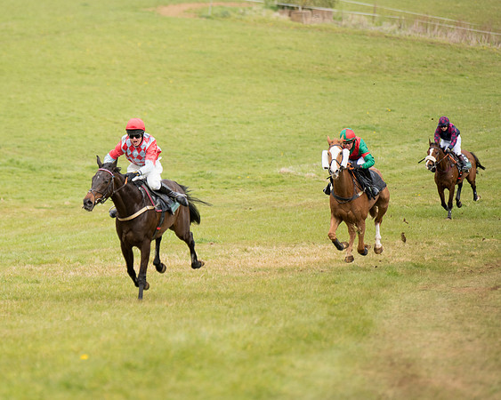 Race 3 - Owner Trainer conditions (78 of 132)