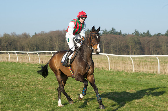 Races 5 - Restricted 15