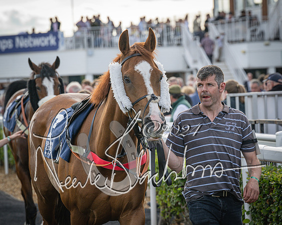 Race 3 - The pointtopoint.co.uk champion novices’ Hunter Chase (17 of 140)
