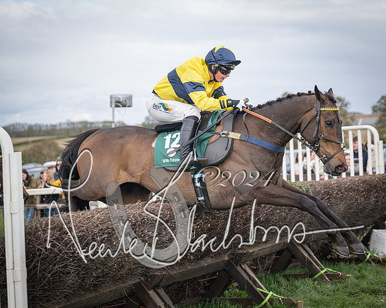 Race 3 - 5 years old and Over Maiden Race (68 of 130)