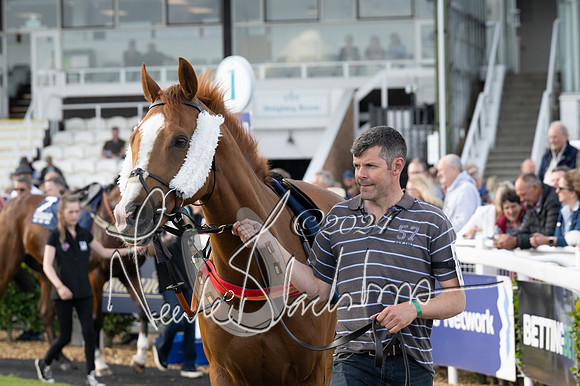 Race 3 - The pointtopoint.co.uk champion novices’ Hunter Chase (42 of 140)