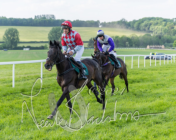 Race 6 - Owner trainer conditions (42 of 272)