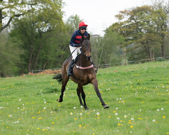 Race 2 - Jockey Club ROR veteran Horse (1 of 104)