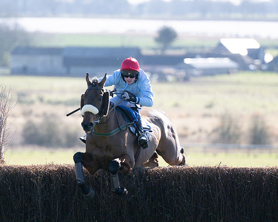 Race 1 - Veteran Horse (53 of 62)
