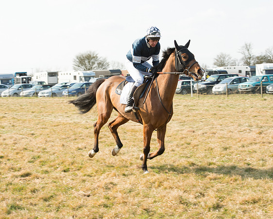 Race 2 - Open Maiden (6 of 101).jpg