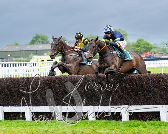 Race 5 - Mares Open  (38 of 129)