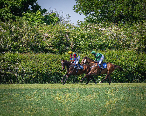 Race 3 The College and County Ladies Open Race (57 of 122)