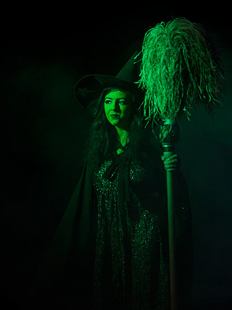 The Wizard of OZ -  289