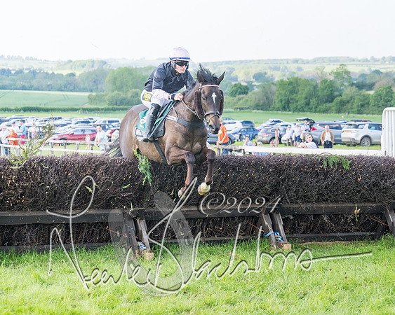 Race 7 - Veteran Horse (41 of 246)