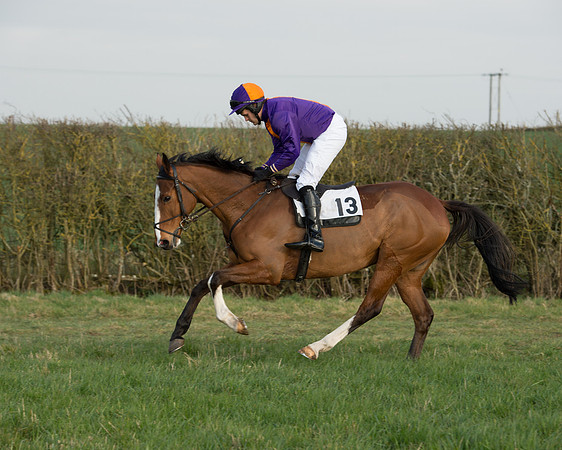 Race 6 - Open Maiden Race (25 of 99).jpg