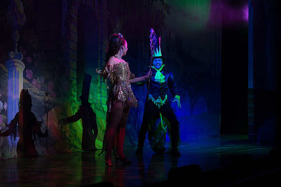 Swan Panto 2017