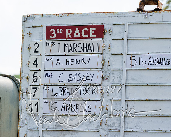 Race 3 - Ladies Open  (1 of 133)