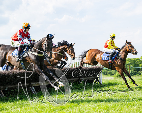 Race 5  - Maiden race 2m5F Div-1 (130 of 197)