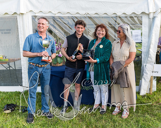 Race 7 - Veteran Horse (9 of 246)