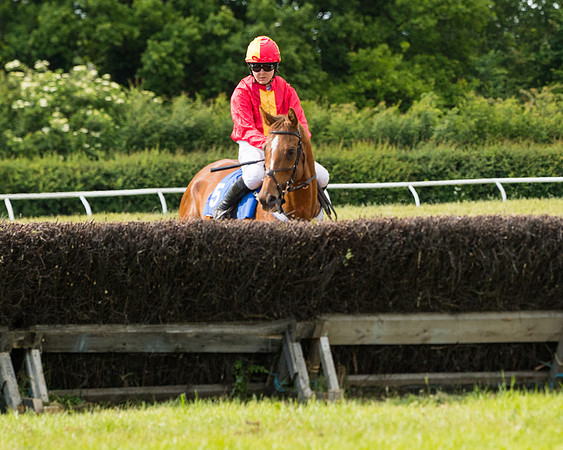 Race 5 - Restricted  (37 of 136)