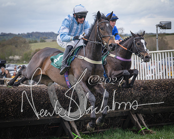 Race 2 - Tattersalls Cheltenham 4 year old Maiden (24 of 85)