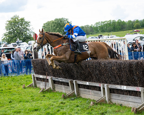 Race 5  - Maiden  (42 of 84)