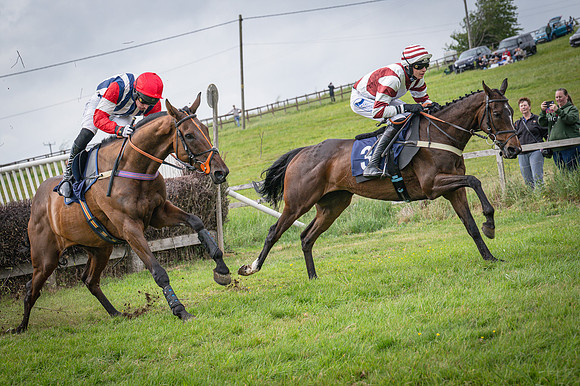 Race 6 - 2M4F Maiden (42 of 85)