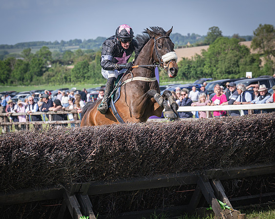 Race 5 - Restricted (70 of 116)