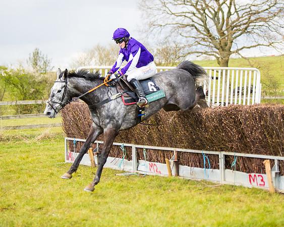 Race 5 - Restricted  (84 of 118)