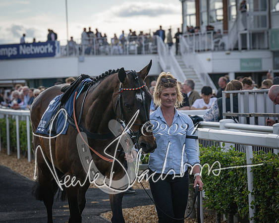 Race 3 - The pointtopoint.co.uk champion novices’ Hunter Chase (27 of 140)