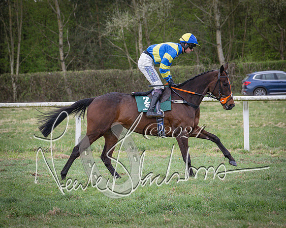 Race 7 - The Jockey Club maiden race for Mares and Fillies only (18 of 96)