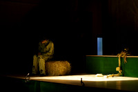 Wind in the Willows - Act-2  5