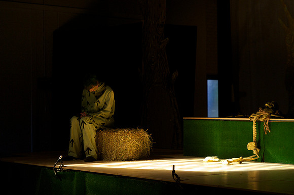 Wind in the Willows - Act-2  5