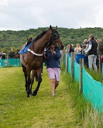 Race 2 - PPORA Novice Riders  (5 of 187)