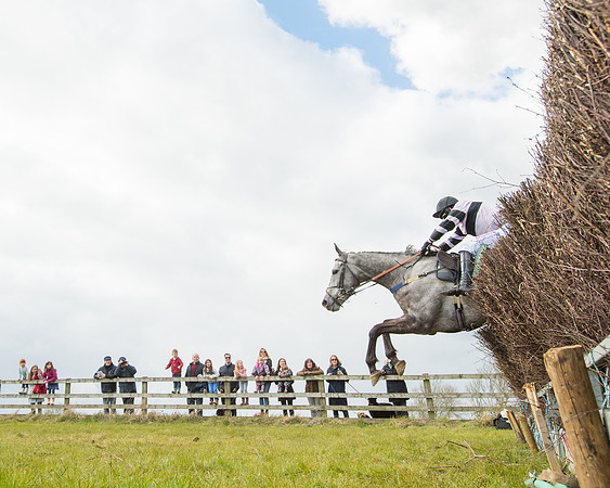 Race 5 - Restricted  (76 of 118)