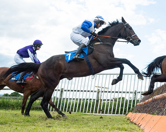 Race 5 - Restricted  (77 of 136)