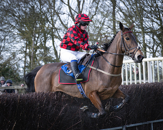 Race 2 - Maiden (93 of 145)