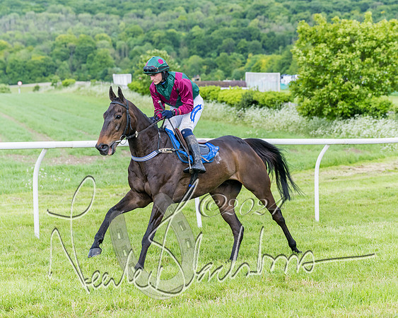 Race 5 - Restricted Race (112 of 434)