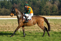 Races 5 - Restricted 14