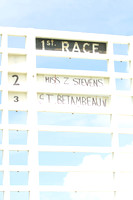 Race 1 - Members  1
