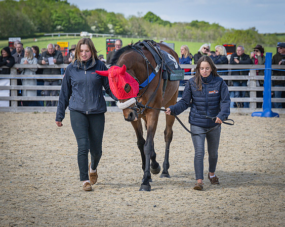 Race 2 - Winkworth conditions race 2m 4f (6 of 126)