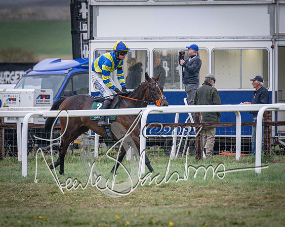 Race 7 - The Jockey Club maiden race for Mares and Fillies only (88 of 96)