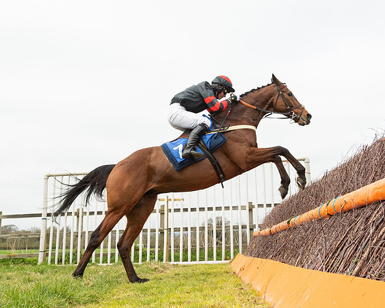 Race 2 - Veteran Horse (104 of 153)
