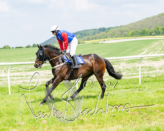 RAce 1 - Conditionsn [Level 2] (53 of 219)