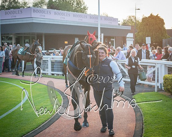 Race 6 - The Brooklands watches Golden Miller chronograph open hunter’s steeplechase 4m 97y (40 of 396)