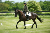 Jackson Dressage 23