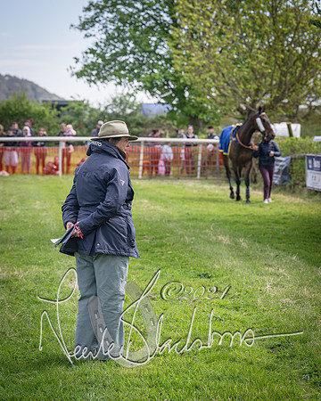 Race 2 - The Elliott of London maiden race (1 of 137)