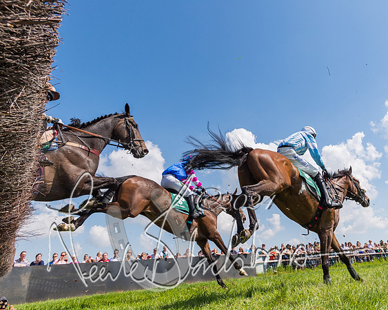 Race 2 - The Maiden  (245 of 442)