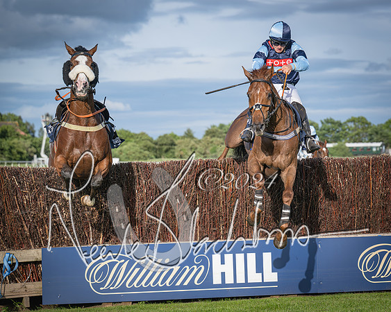 Race 3 - The pointtopoint.co.uk champion novices’ Hunter Chase (117 of 140)